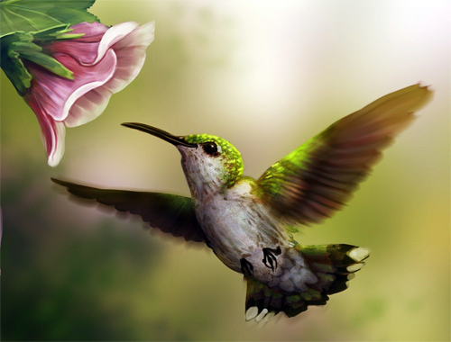 B 5 Leyenda del Colibrí Enamorado