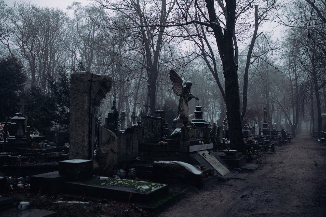Pexels Koolshooters 6495744 Lázaro: muerte y resurrección